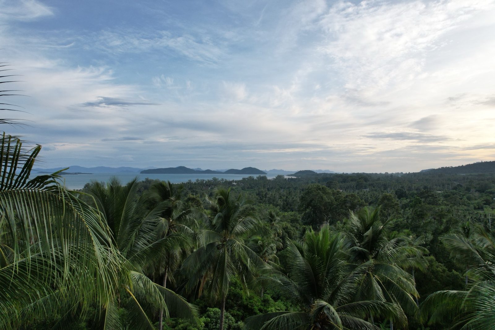 Aerial view of the sea by the development