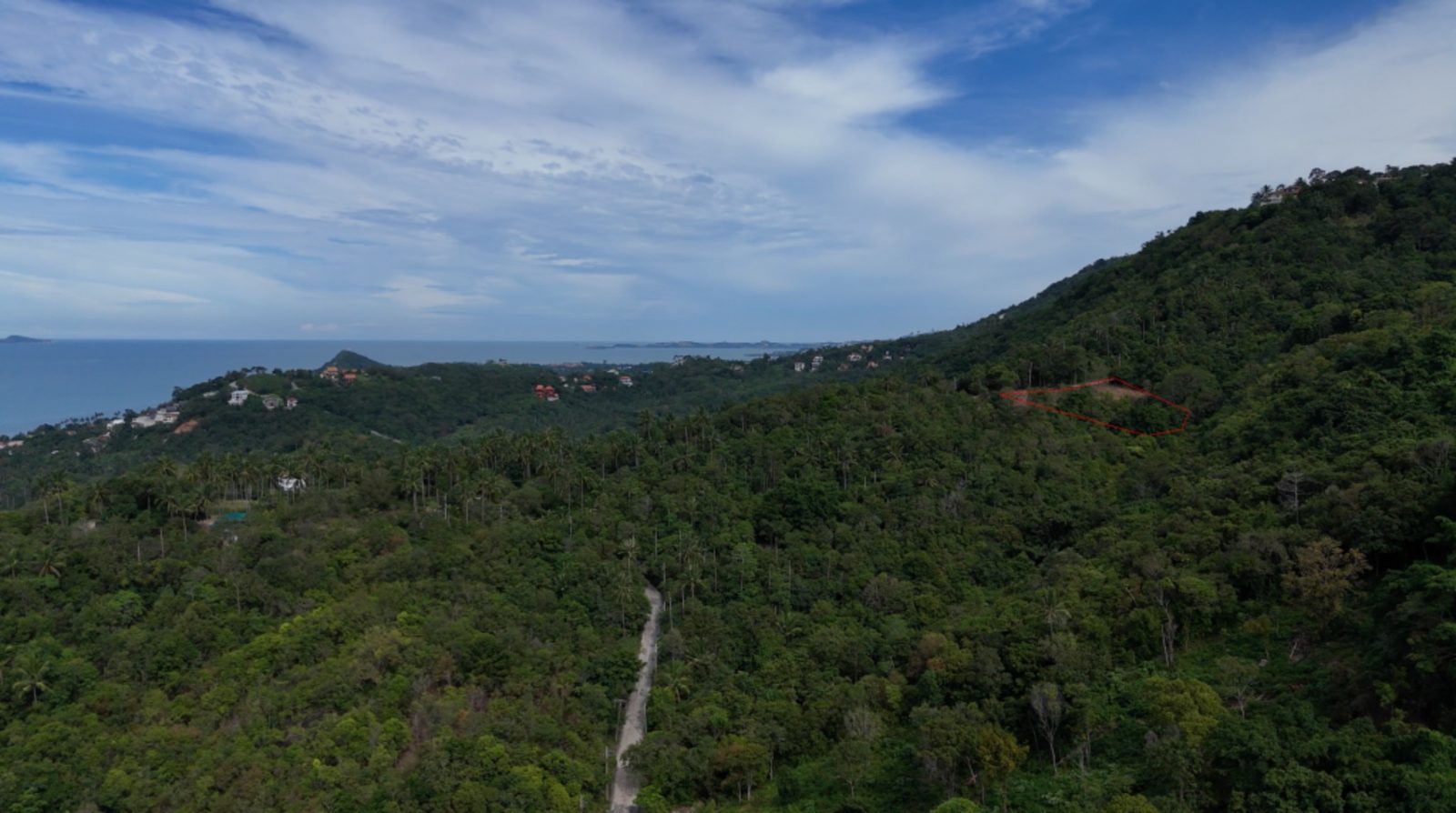 Elevated plateau and tropical hillside