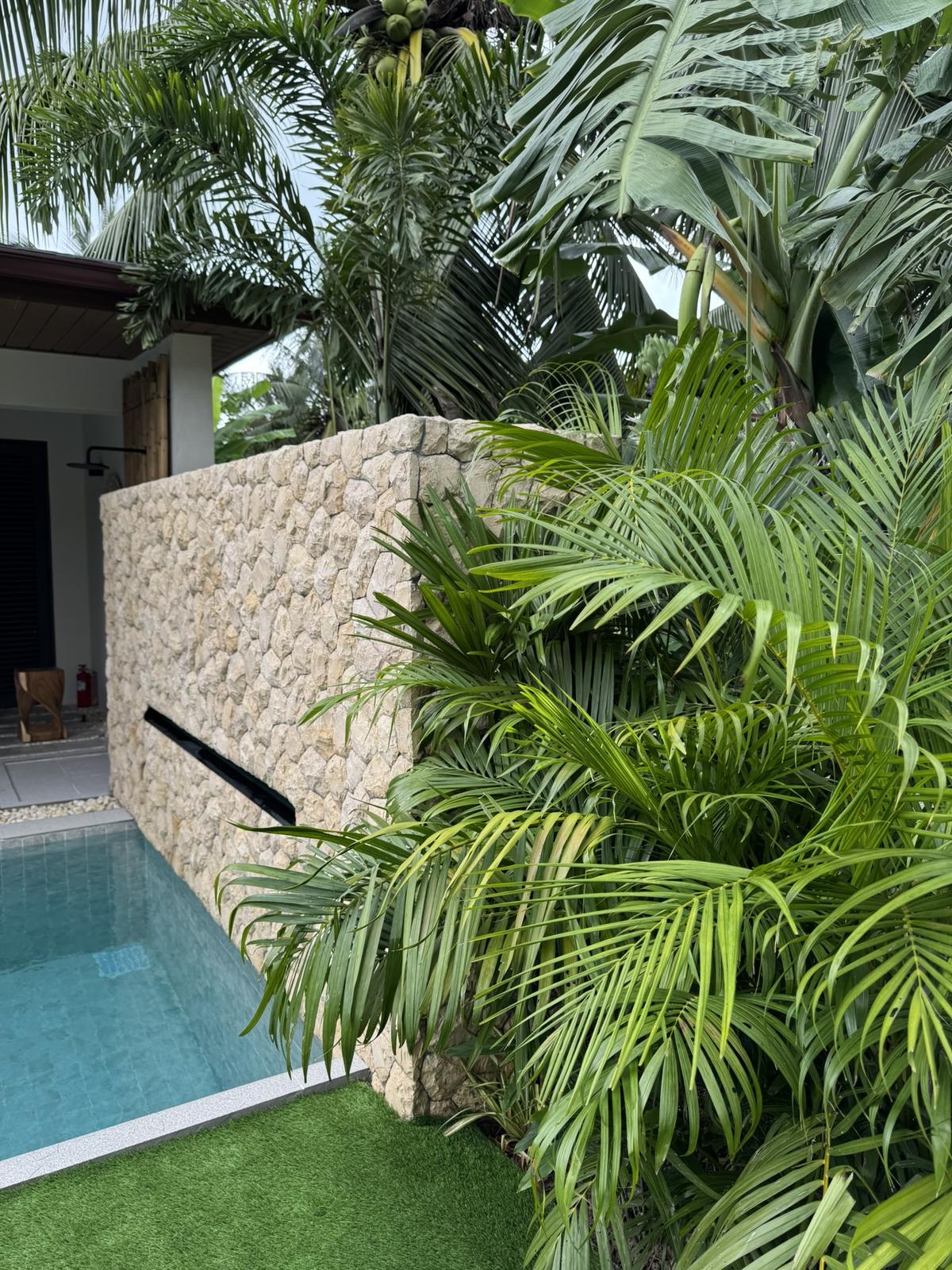 Pool edged with tropical planting