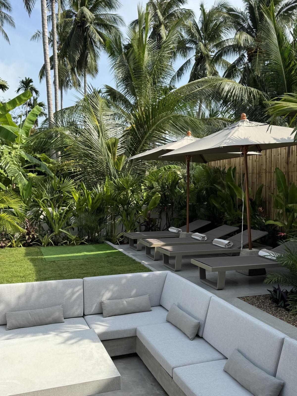 Sun loungers on the lawn under a parasol