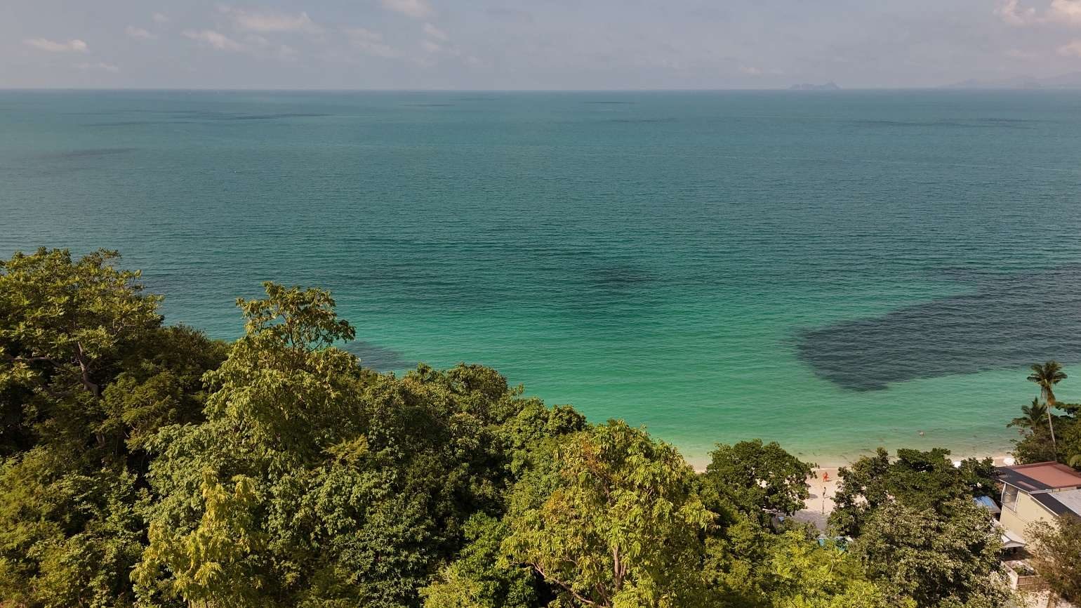 Sea view from the hillside