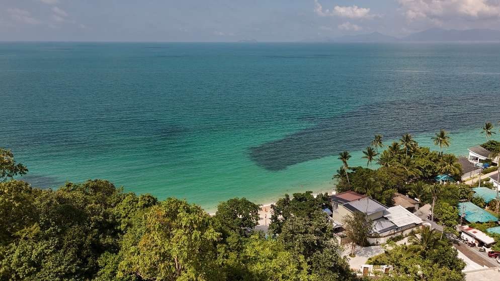 Aerial view of the nearby beach