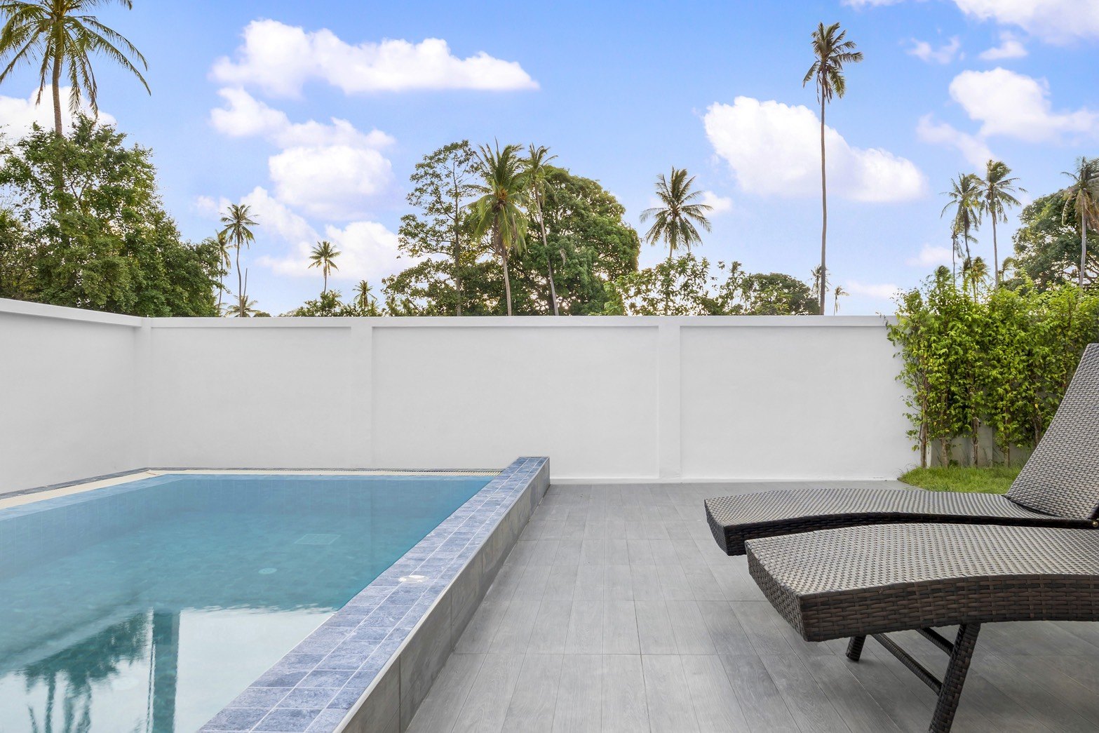 The pool along the garden wall, tall palms behind