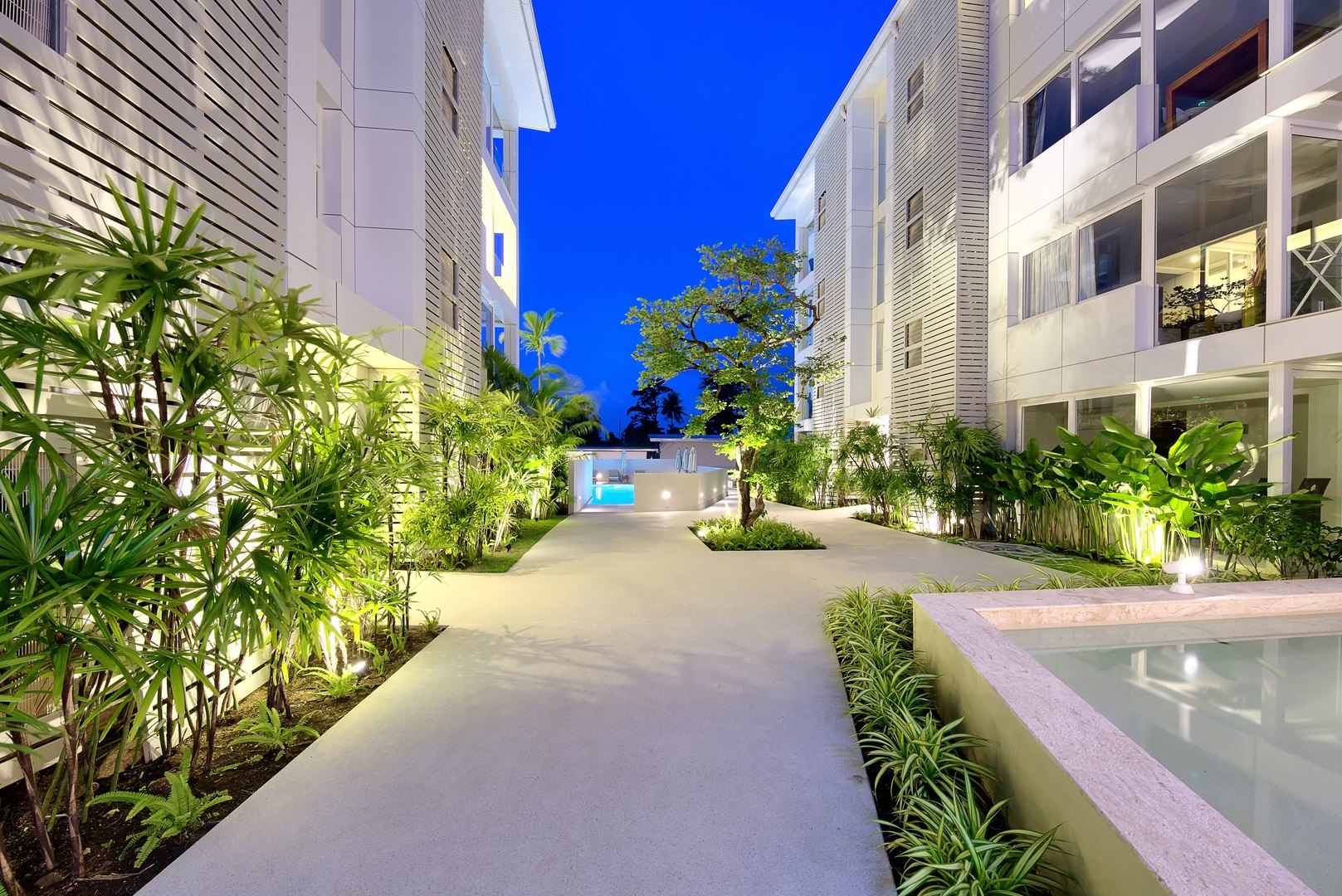 The planted walkway between the buildings in the evening