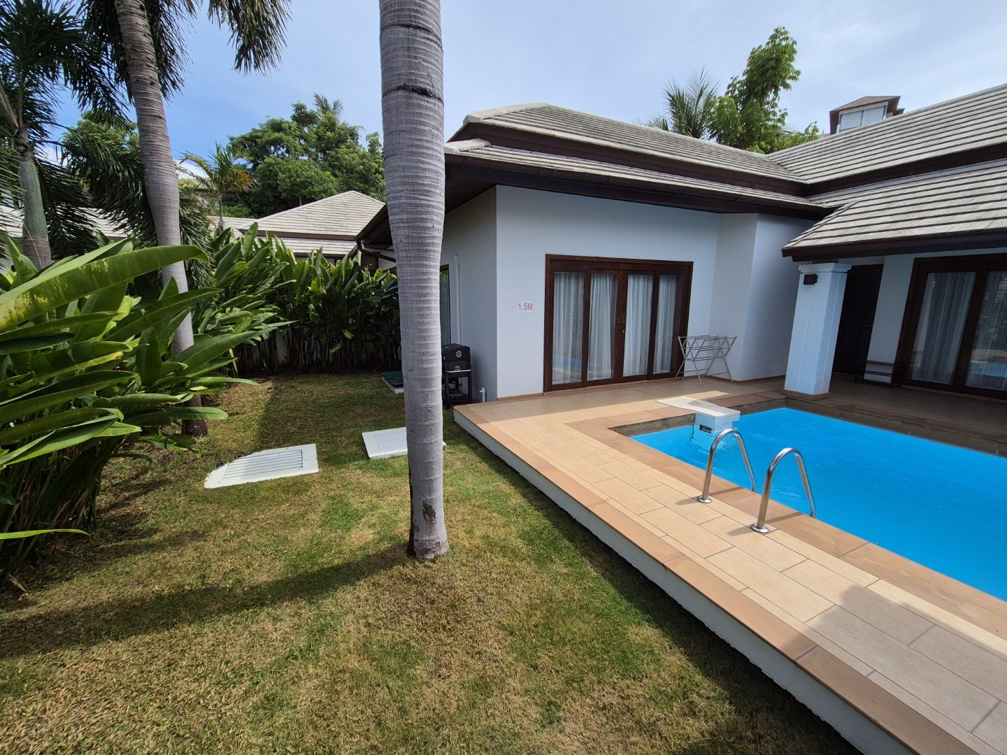 The pool enclosed by mature palms
