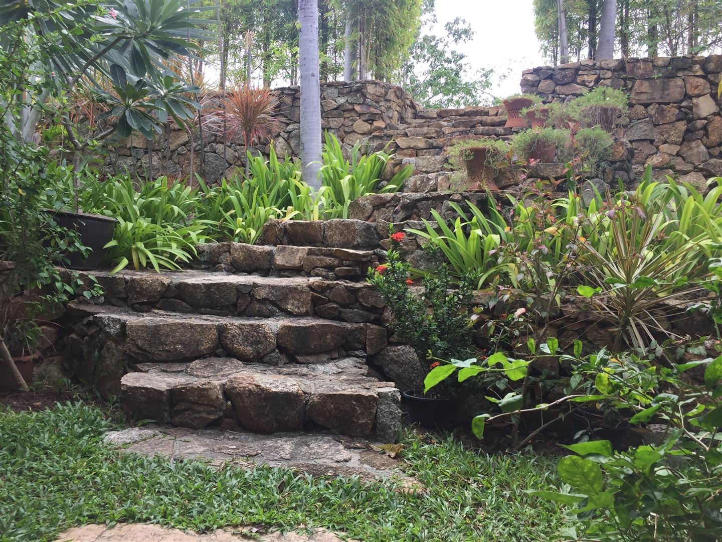 Stone steps down through the planted garden