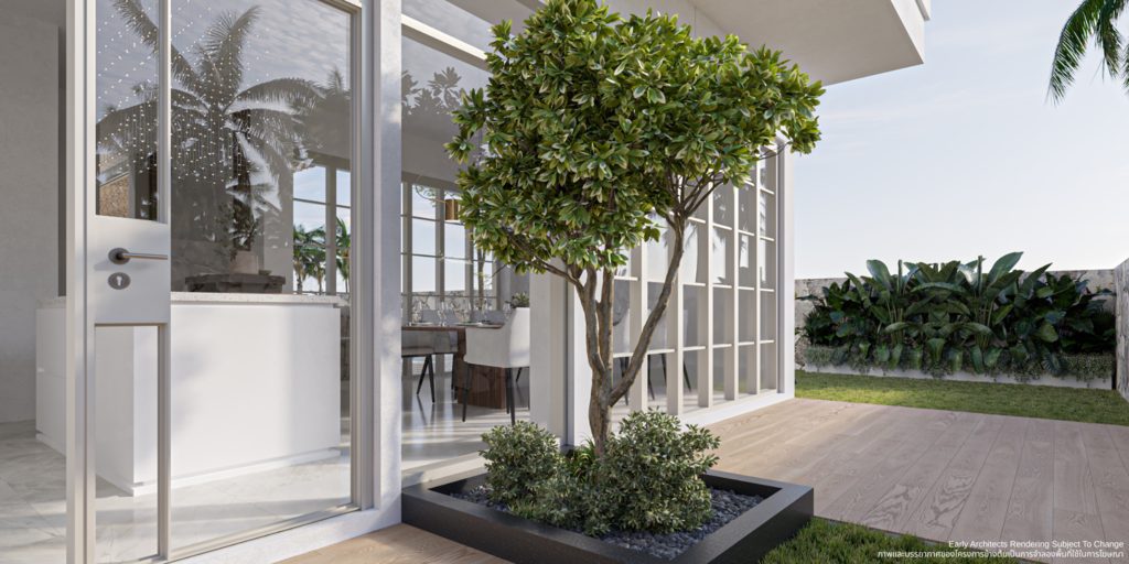 The back garden and courtyard tree