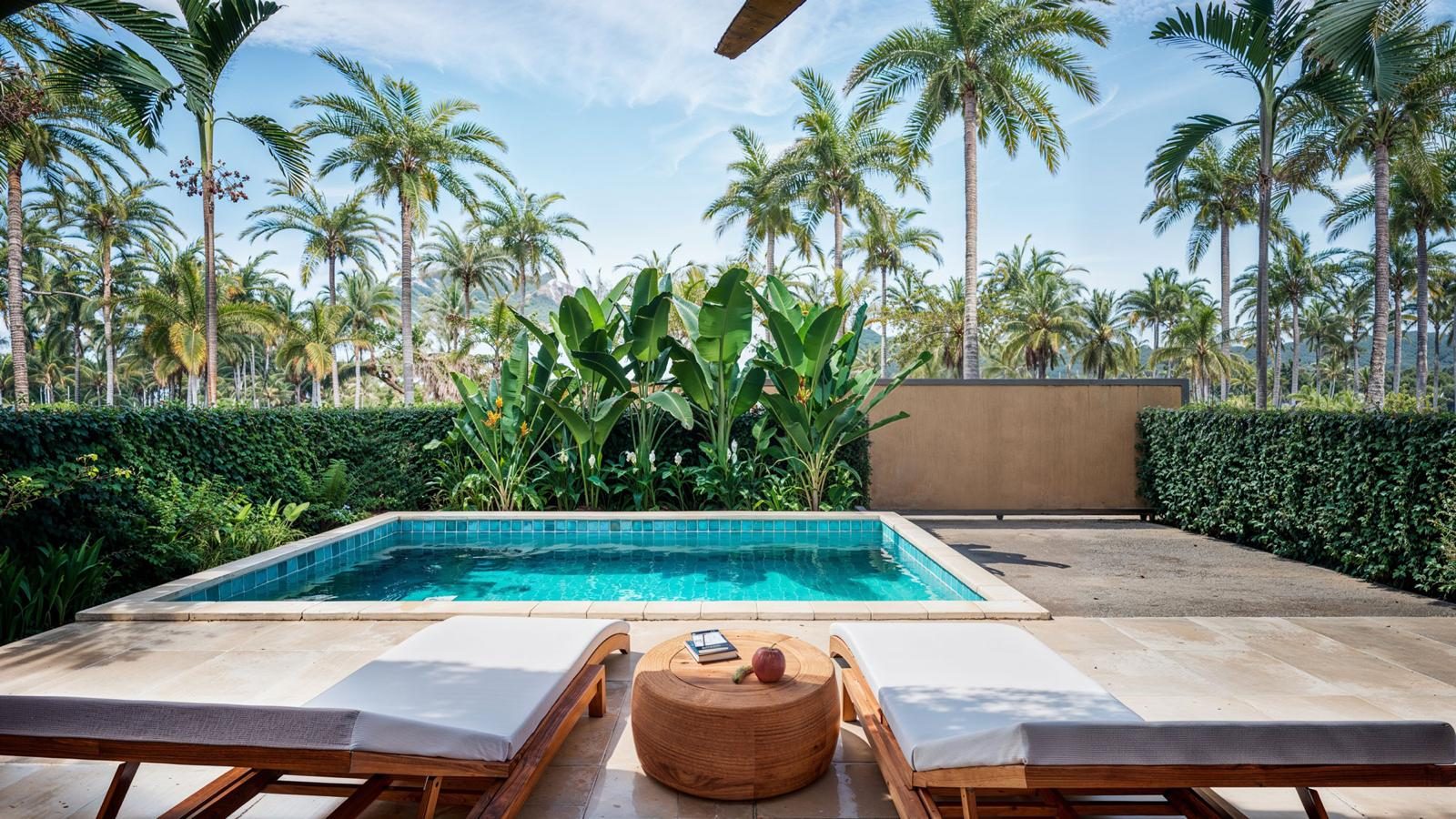 Poolside terrace with sun loungers and palms