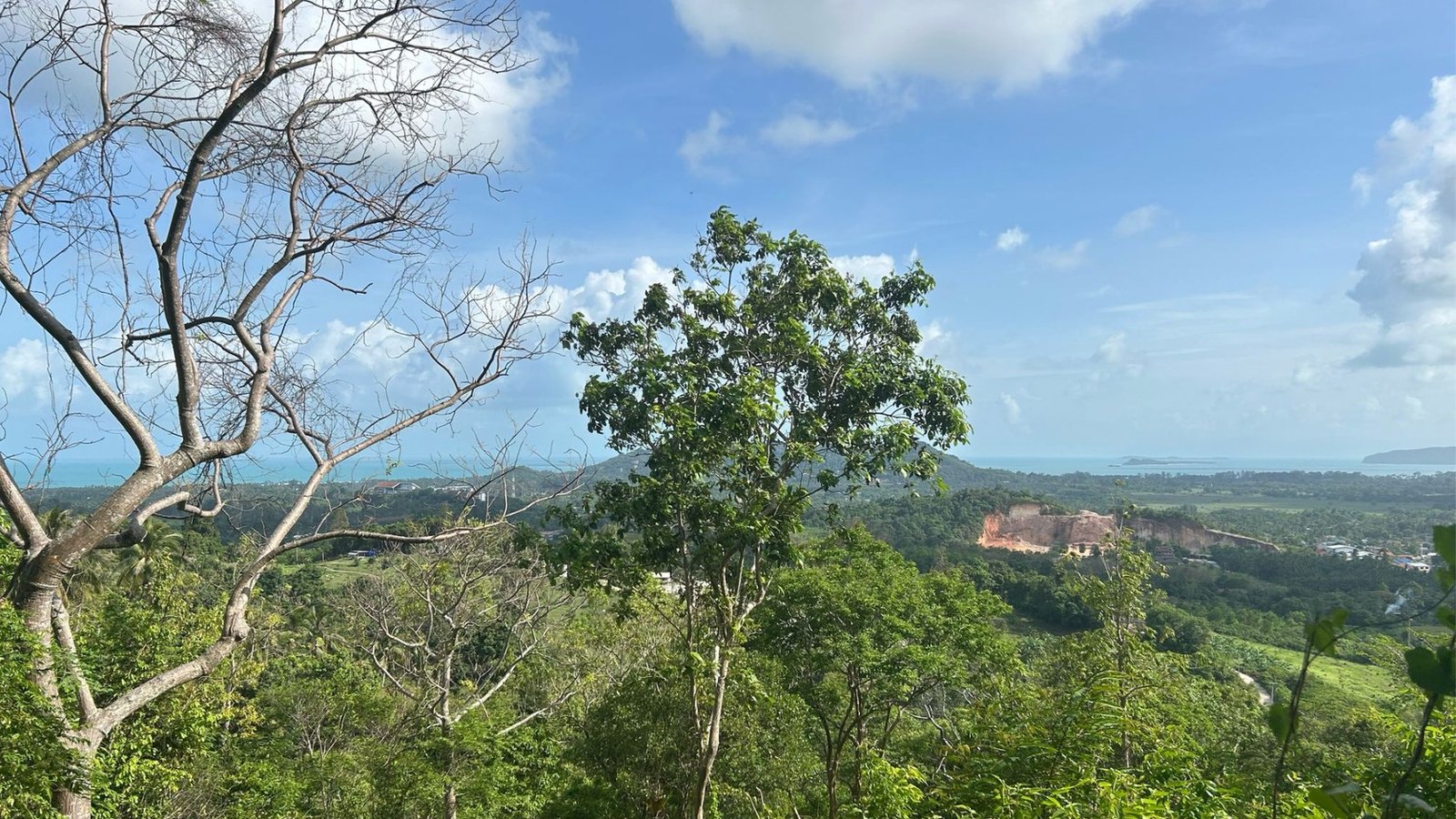 The actual view from the site today, over the trees to the coast
