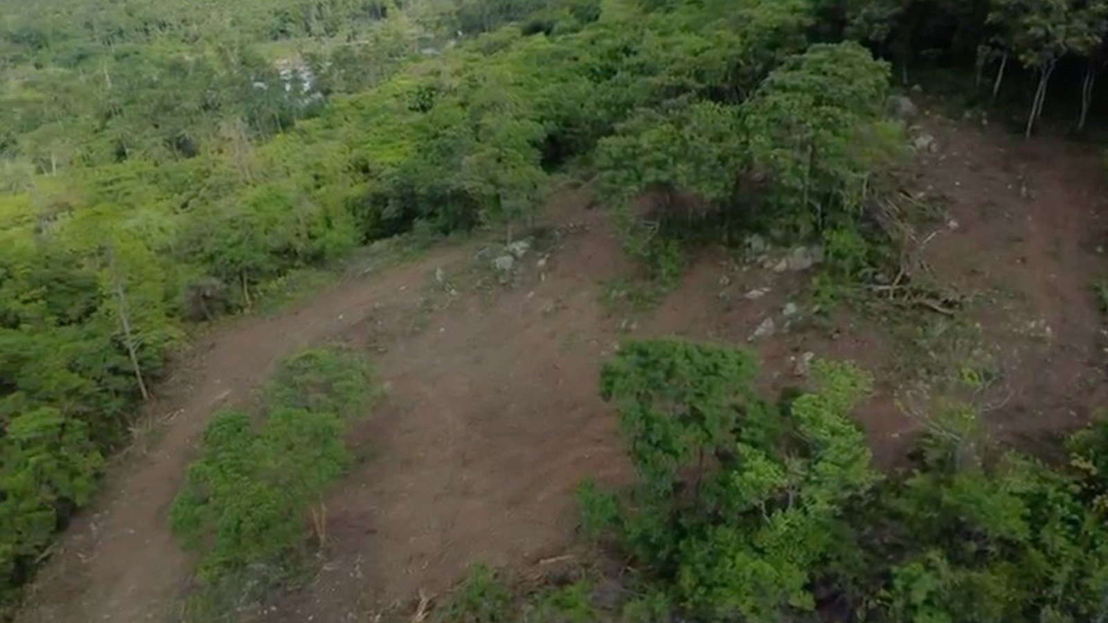 The site from the air, with the access track cut in