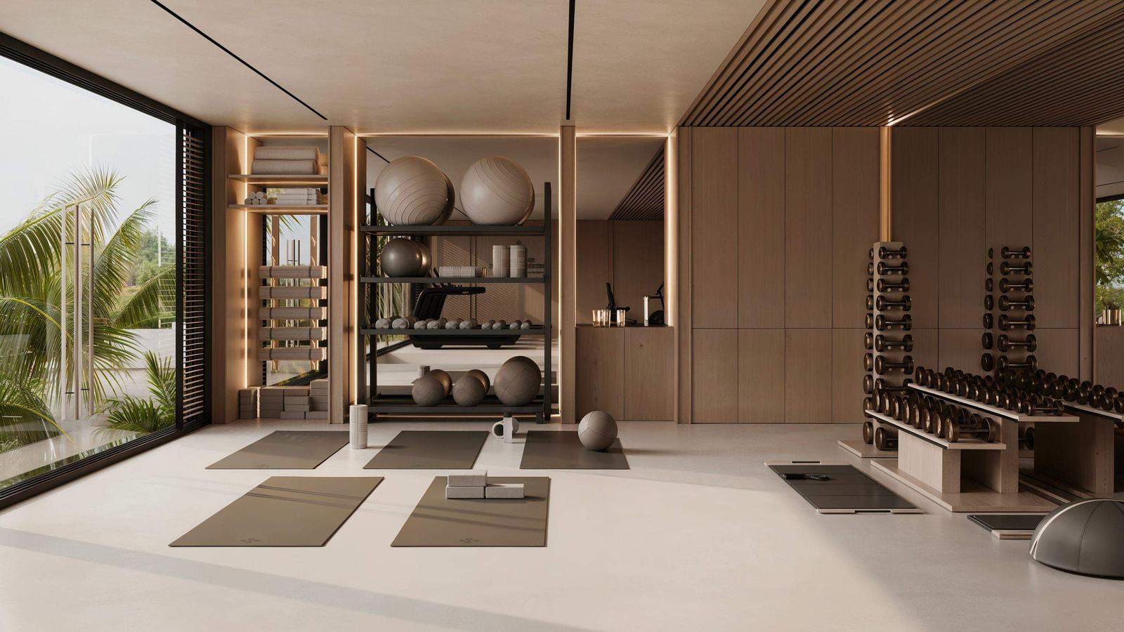 Gym with free weights and studio floor