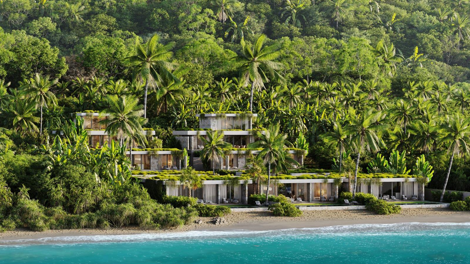 Pool terrace under coconut palms, villa behind