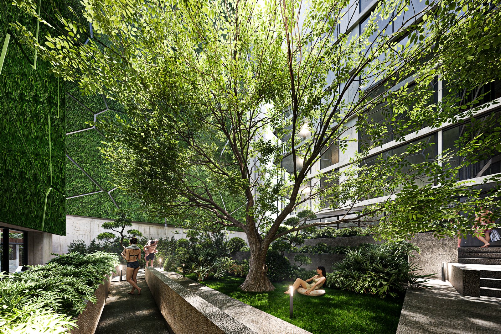 The planted atrium with a tree at its centre